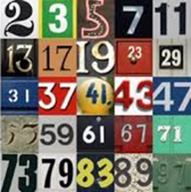 What Is A Prime Number? Explained for Parents, Teachers & Children